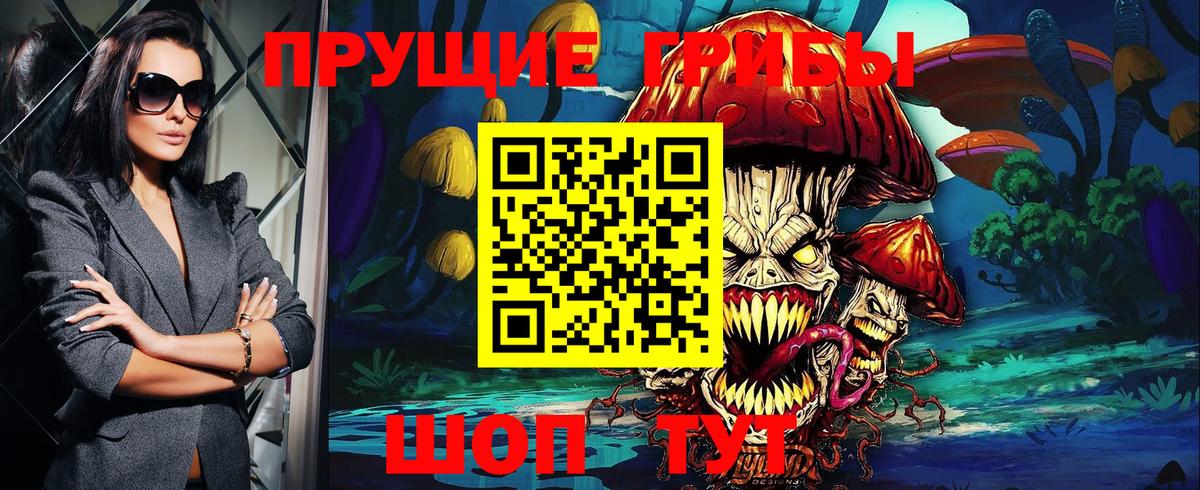 Псилоцибиновые грибы Psilocybe  купить закладку  Туймазы  Псилоцибиновые грибы Cubensis  Вход с VPN 